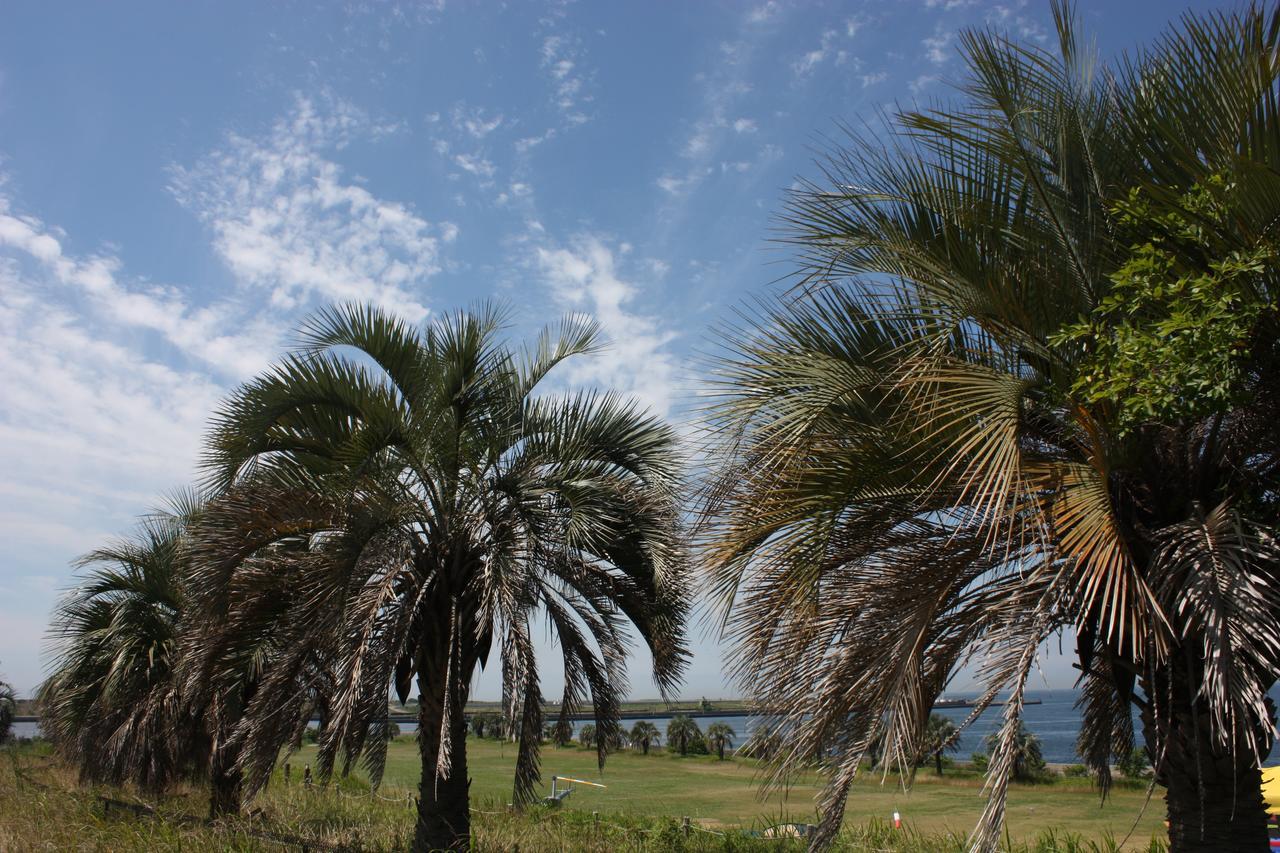 Palm Garden Maishima By Wbf Osaka Luaran gambar